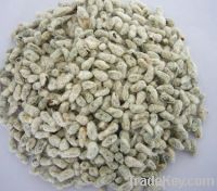 cottonseed meal