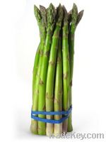 fresh asparagus