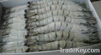 Sell frozen tiger shrimp