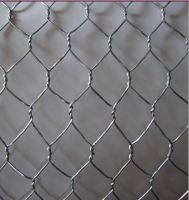 Galvanized Hexagonal Wire Netting in China, telephone:008615030192333