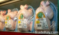 Sell Frozen Whole Chicken, Processed Chicken Feet, Chicken legs