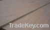 Sell Full poplar plywood plain board