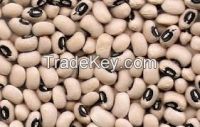 Red Cow peas /black eyed beans