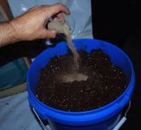 Organic bat Guano fertilizer