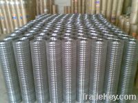 Sell Electro galvanzied welded wire mesh