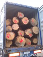 Sell European wood logs