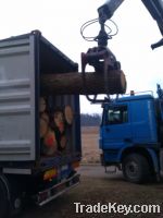 Sell white oak log from Germany