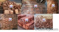 Copper Wire Scraps Suppliers | Copper Scrap Exporters | Copper Scrap Manufacturers | Cheap Copper Scrap | Wholesale Copper Scraps | Discounted Copper Scrap | Bulk Copper Scraps | Copper Scrap Buyer | Import Copper Scrap | Copper Scrap Importers | Copper S