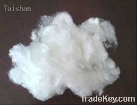 Sell recycled polyester staple fibre