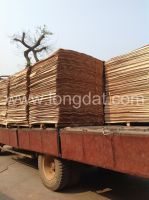 Sell acacia core veneer