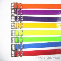 fluorescent pet dog collar, all colors available!