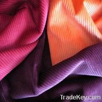 Sell Corduroy Lingerie Fabric