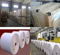 Sell High Quality Offset Paper