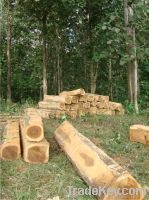 Sell Teak Wood