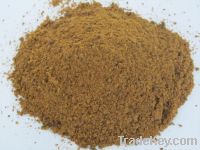 Sell Meat and bone meal(MBM)