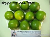 Sell Fresh Green Lemon