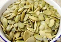 Sell pumpkin Seeds