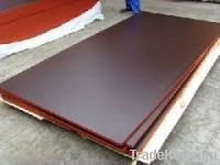 Sell construction plywowod/marine plywood/shuttering plywood linyi man