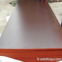 shandong film faced plywood manufacturer