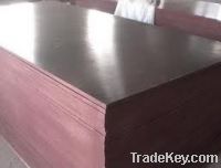 Sell 12mm and 18mm marine plywood for construction