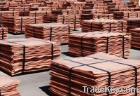 Sell Copper cathode