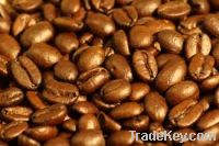 Java Coffee Beans