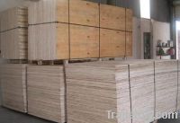 Sell Plywood from Vietnam