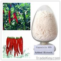 Sell Chili Pepper Extract Capsaicin 95%