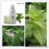 Sell Spearmint Essential Oil