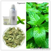 Sell Peppermint Essential Oil