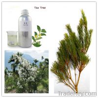Sell Tea Tree Essential oil