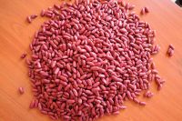 Sell Red Kidney Beans