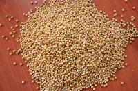 Sell Yellow Soya Beans