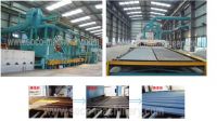 Sell :steel plate blasting and paint line