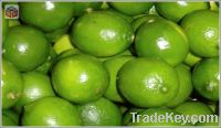 Sell FRESH LIME