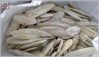Sell Cuttle Fish Bone from Vietnam