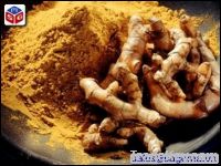 Sell turmeric powder origin Vietnam