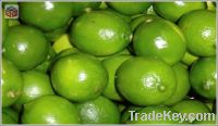 Sell Fresh Lime