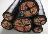 XLPE Copper Conductor Armoured or Unarmoured Cable