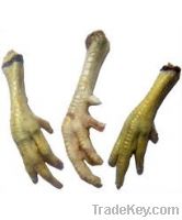 Export Chicken Paw | Chicken Feet Suppliers | Poultry Feet Exporters | Chicken Feets Traders | Processed Chicken Paw Buyers | Frozen Poultry Paw Wholesalers | Low Price Freeze Chicken Paw | Best Buy Chicken Paw | Buy Chicken Paw | Import Chicken Paw | Chi