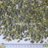 Pumpkin Seeds With and Without Shell