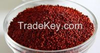 Finger Millet (Ragi)