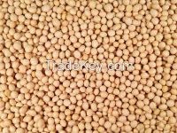 Organic Soybeans