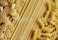 Spaghetti and Macaroni pasta