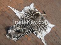 ZEBRA SKIN