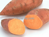 Fresh Sweet Potatoes