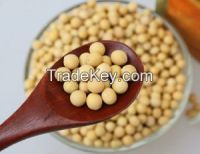 NON-GMO Dried Yellow Soybean