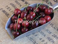 Fresh Sweet Cherry / Fresh Cherry Fruit /Red Cherry/ Wholesale For Low Price