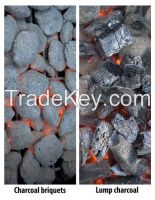 Barbecue Hardwood Charcoal