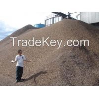 Palm Kernel Shells Available